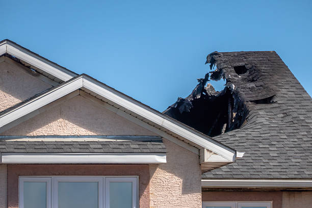 Top rated local Soot Cleanup specialists in Princeton Junction, NJ